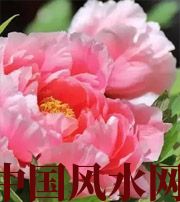 合肥预示你财运上升，姻缘可成的梦境，快来看看吧！