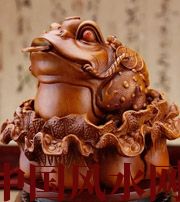 合肥解读金蟾最合适的位置，这样摆放更招财！